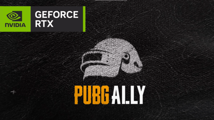 PUBG Ally